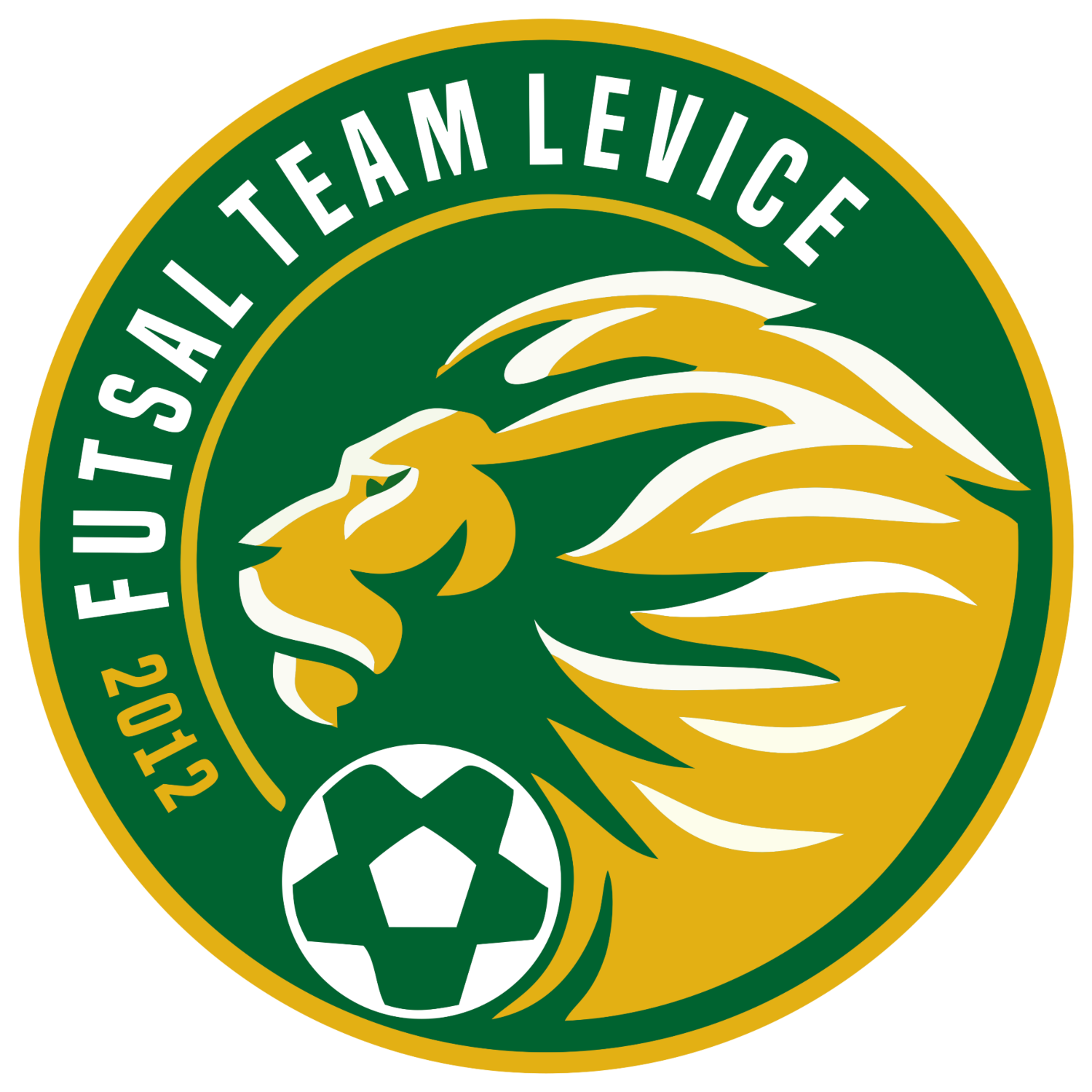 Futsal team Levice